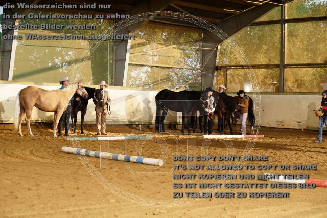 s_K3F07798.JPG